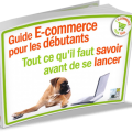 ebook-guide-debutant-ecommerce-800